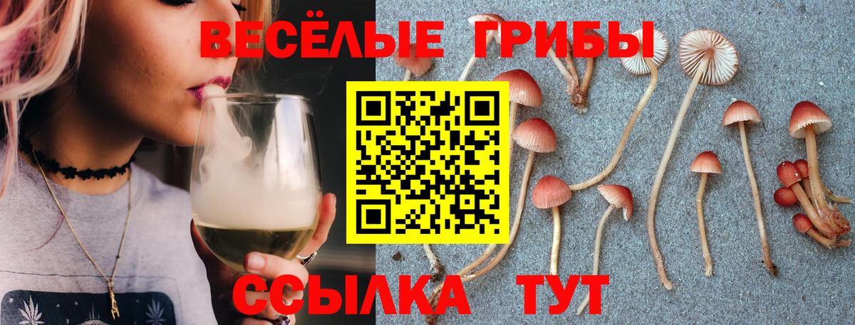 что такое наркотик  Галлюциногенные грибы Psilocybe  Арзамас  Вход с VPN  Псилоцибиновые грибы Psilocybe 